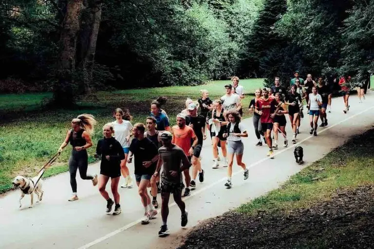 Group of runners and a dog through a park for Run Happy Run Club, Sheffield